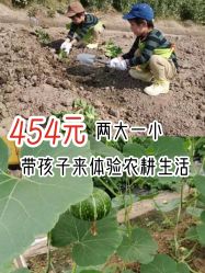 -麦粒鸟亲子游