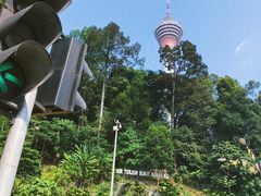 -关夫人餐厅(阳光广场店)