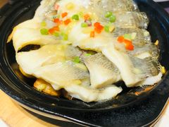 -点都德·毕德寮