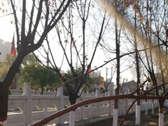 -西安汉城湖景区