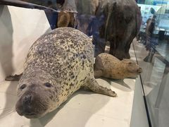 -浙江自然博物院(杭州馆)