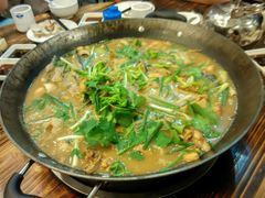 -鸭嘴鱼