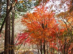 -崂山巨峰游览区