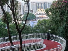 -金鸡山公园