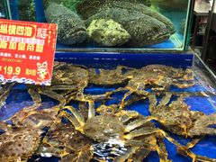 -东江海鲜酒家(艺都分店)