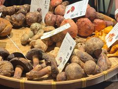 -滇野云南野生菌餐厅(陕西南路店)