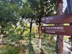 -广州神农草堂中医药博物馆