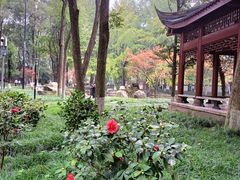 -温江公园