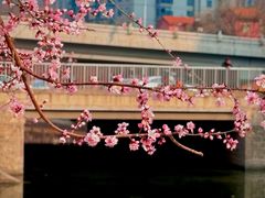 -南长河公园