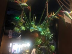 -云海肴·汽锅鸡·云南菜(天津国金汇店)