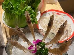 -陈记顺和潮汕鲜牛肉火锅(西门口广场店)