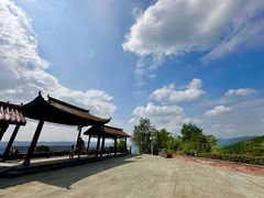 -铁山坪森林公园