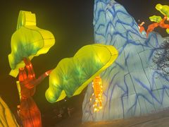 -长春市南湖公园