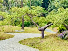 -云溪植物园