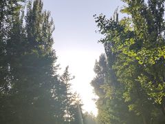 -廊坊市自然公园