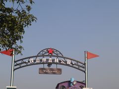 -铁山坪森林公园