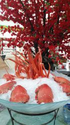 -阳光五洲大酒店·宴会厅