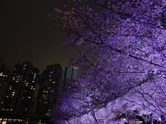 -西北湖绿化广场