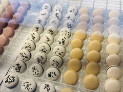 -BLACKSWAN黑天鹅(环球店)