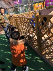 -萌宠亲子动物乐园(槐房万达店)