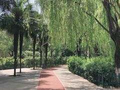 -西安市长乐公园
