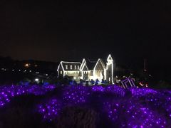 -大塘金香草谷