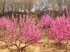 -济南野生动物世界