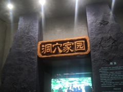-柳州白莲洞洞穴科学博物馆