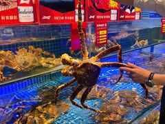-驻海渔市(置信店)