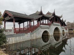 -上海海湾国家森林公园