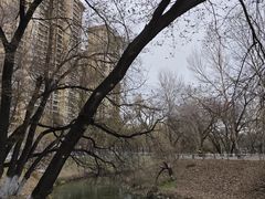 -黛秀湖公园