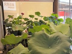 -湘力力小院·鱼汤泡饭(枫林路店)