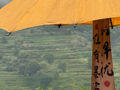 -婺源风景区