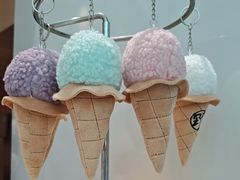 -野人先生现做冰淇淋(贵阳万象汇店)