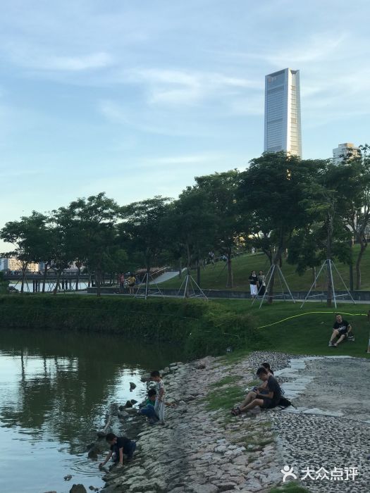 深圳人才公园图片