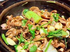 啫啫石斑鱼扣-煲煲好(朝阳门店)