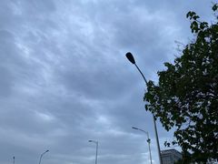-正院大宅门烤鸭(首体店)