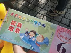 -顺德大良半月城游乐场