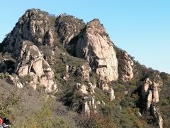 -大岭沟猕猴桃谷风景区