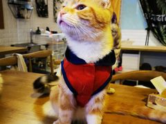 -平行世界·猫咖(首经贸店)