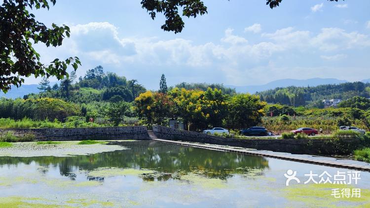 鸬鸟镇的鱼鳞坝