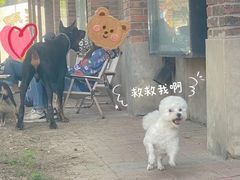 -小意思咖啡店(草桥店)