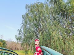 -东平国家森林公园