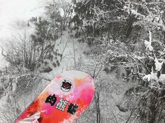 -太子岭滑雪场