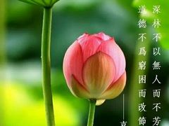 -范长伟灸草堂(甘家口店)