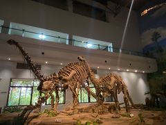-自贡恐龙博物馆