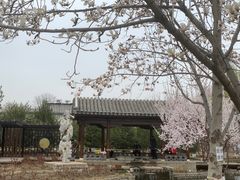 -春风习习