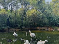 -济南野生动物世界