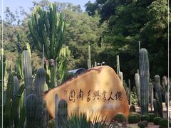 -深圳仙湖植物园