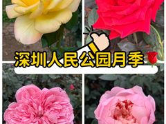 -人民公园(罗湖区)